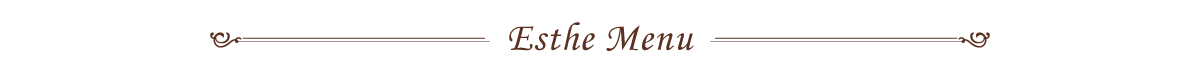 エステメニュー